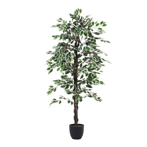 Artificial Ficus Tree Decorative Plant in Planter, PM1574 (Ver. 2)