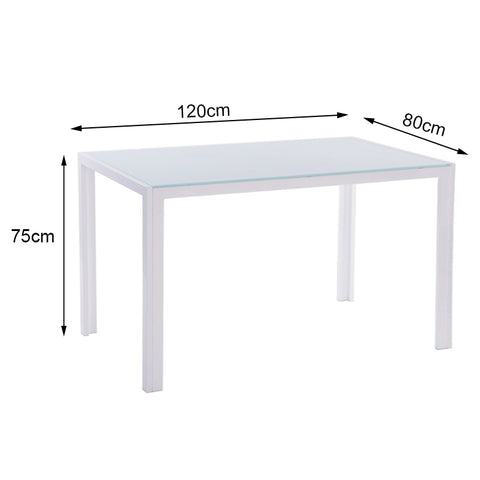 Rectangular Tempered Glass Dining Table, HG0260