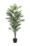 Artificial Dypsis Lutescens Decorative Plant in Planter, PM1581