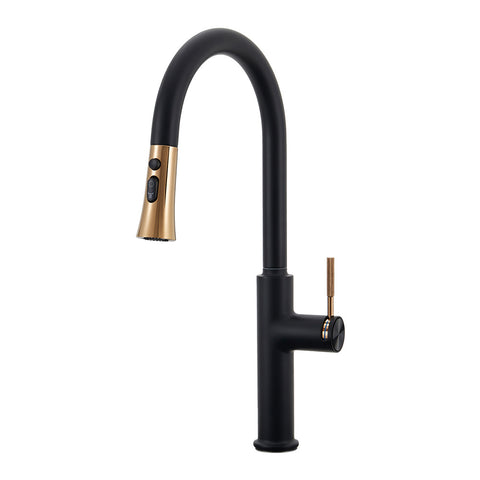 Bathroomdeco Black Kitchen Sink Faucet with Pull Down Sprayer, DM0751