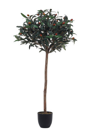 Artificial Olive Tree Decorative Plant in Planter, PM1577 (Ver. 2)