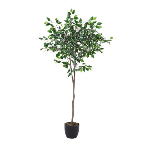 Artificial Ficus Tree Decorative Plant in Planter, PM1575 (Ver. 2)