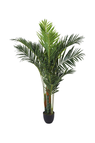 Artificial Dypsis Lutescens Potted Tree, PM1582