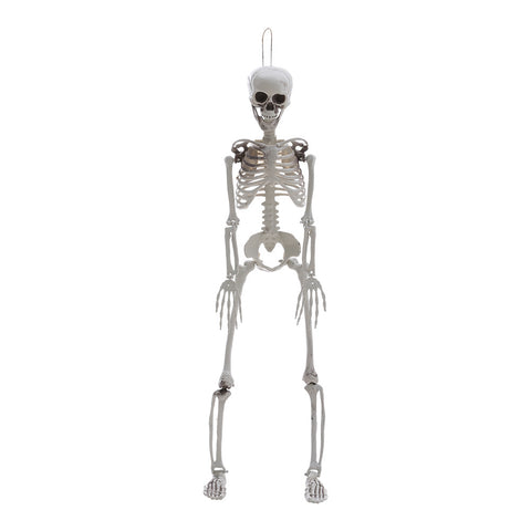 Livingandhome Poseable Skeleton Props for Halloween Party Decoration, SW0675