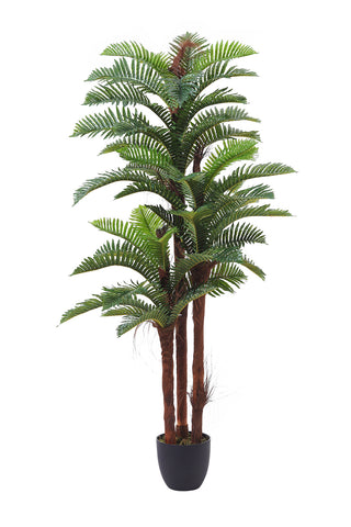 Artificial Fern Decorative Plant in Planter, PM1584 (Ver. 2)