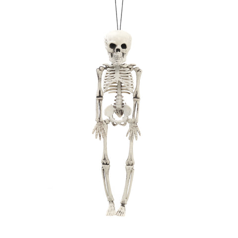 Livingandhome Realistic Posable Hanging Skeleton for Halloween, SC0884