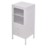 Steel File Cabinet Storage Cabinet with 2 Drawers and 2 Adjustable Shelves, DM0907