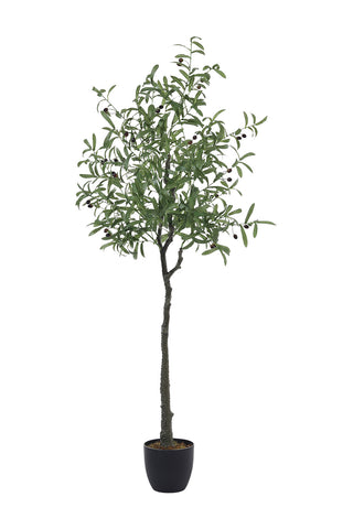 Artificial Olive Tree Decorative Plant in Planter, PM1576