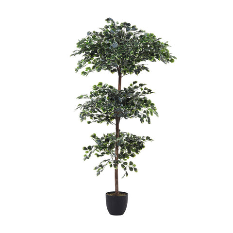 Artificial Zamioculcas Decorative Plant in Planter, PM1590 (Ver. 2)