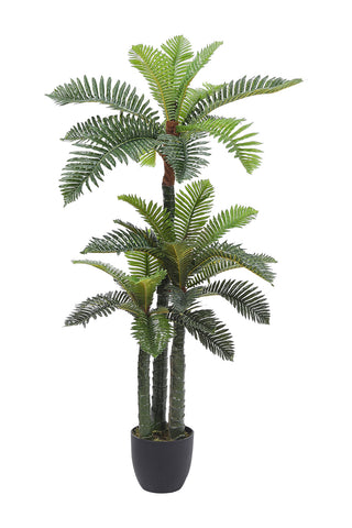 Artificial Phoenix Fern Tree in Pot for Decoration, PM1586 (Ver. 2)