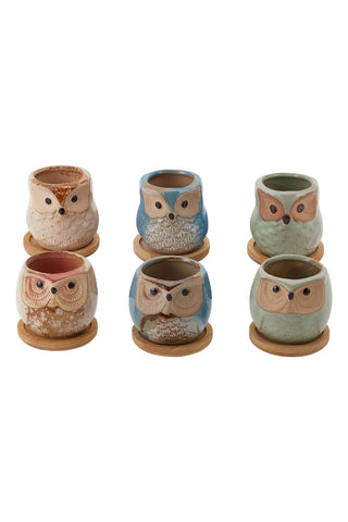 Livingandhome 6Pcs Mini Ceramic Owl Succulents Plant Pot with Plant Saucers, WF0249