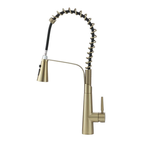 Pre-rinse Pull Down Kitchen Faucet, DM0841