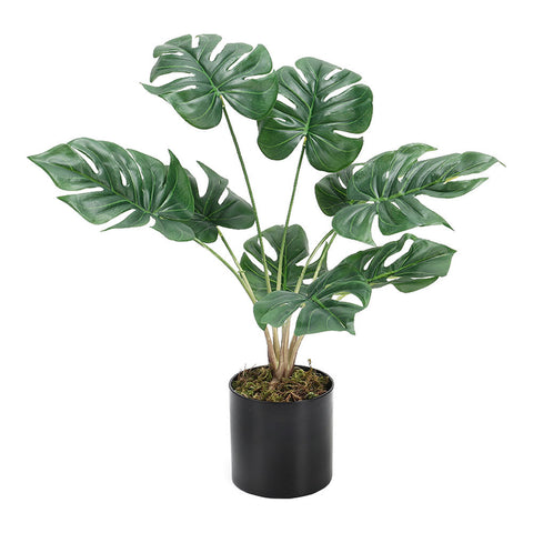 Livingandhome Simulation Turtle Back Leaf Plant Potted Ornament, SW0251