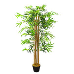 150cm Tall Artificial Bamboo in Black Planter, PM0563