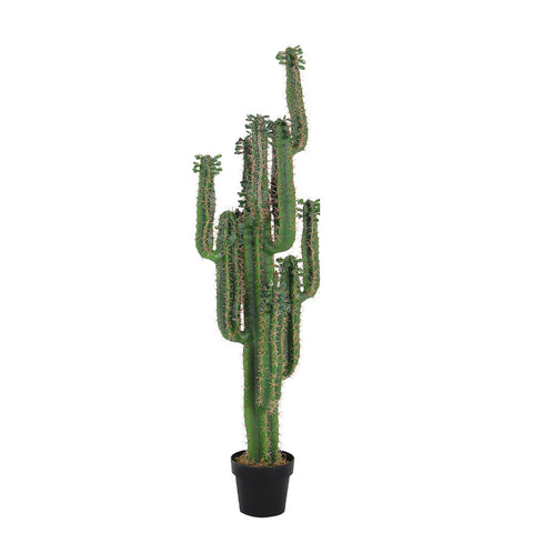 Artificial Tall Cactus Tree Plant in Black Pot for Home Office Decoration, PM0628